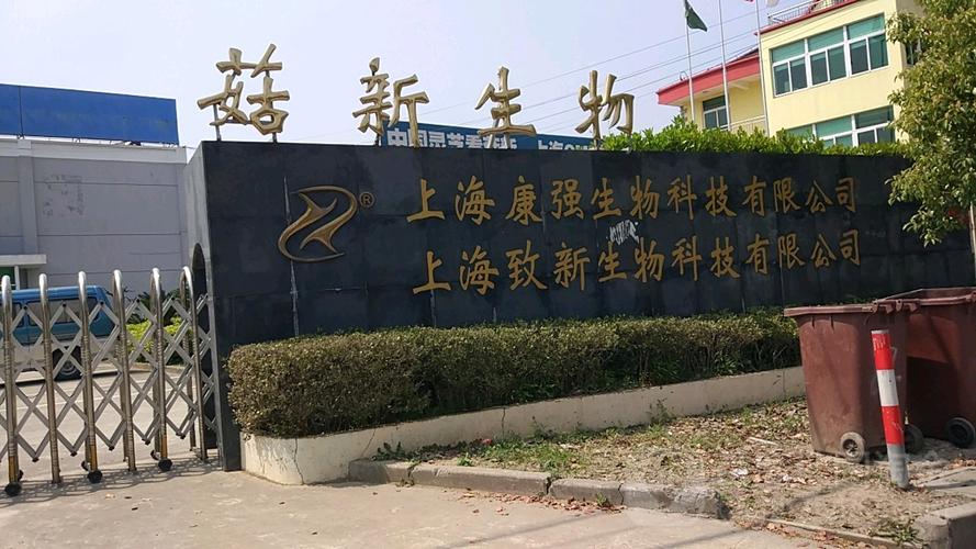 上海致新商务科技与上海科技发展公司协同创新路径解析